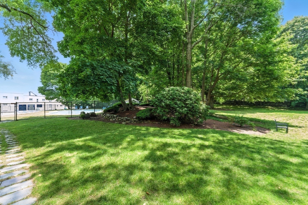 22 Chestnut Place, Unit 608 Brookline, MA 02445 - Photo 21 of 29 a view of backyard with swimming pool and green space
