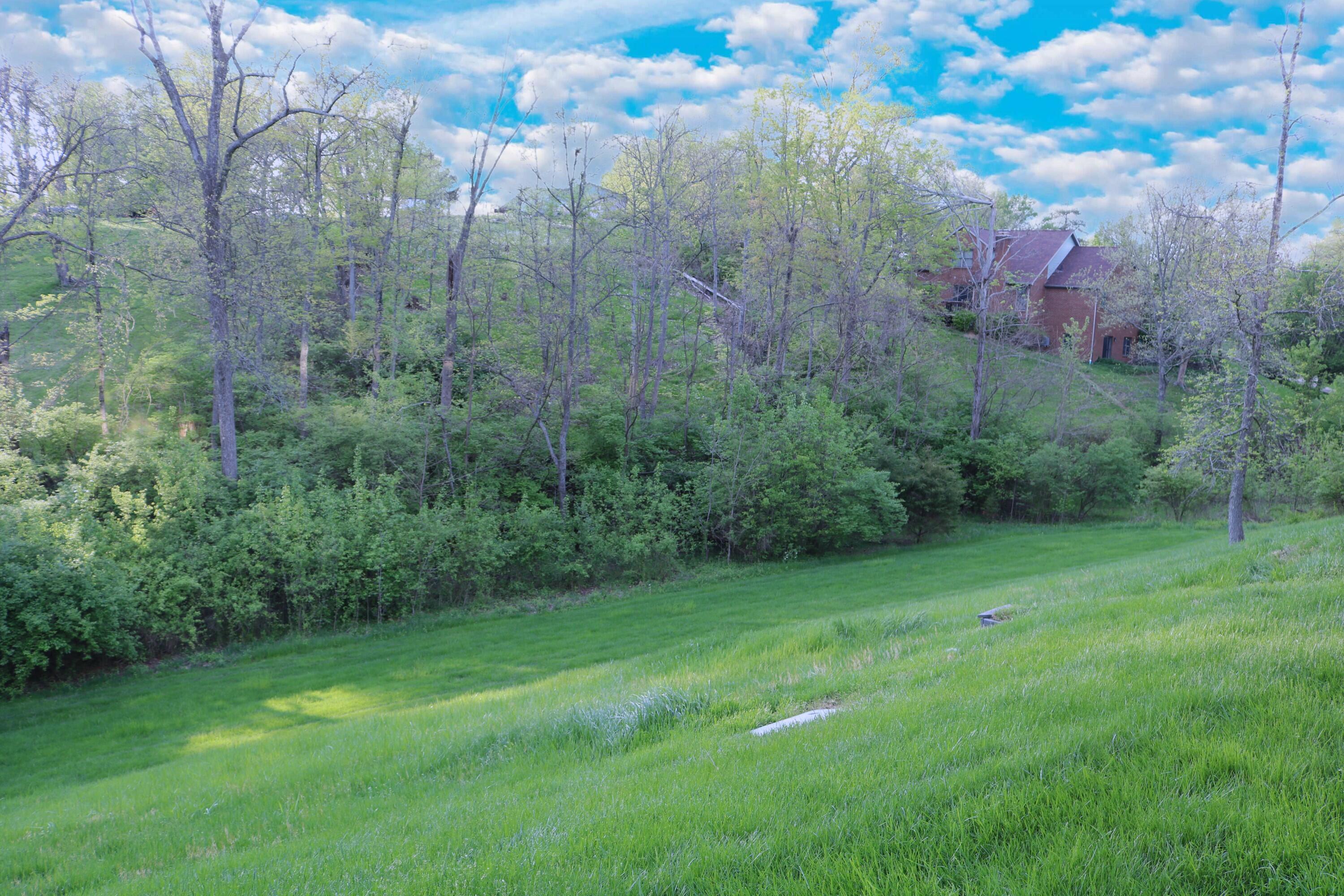 339 Falling Water Court Cold Spring, KY 41076 - Photo 9 of 47 Gallery Image 9