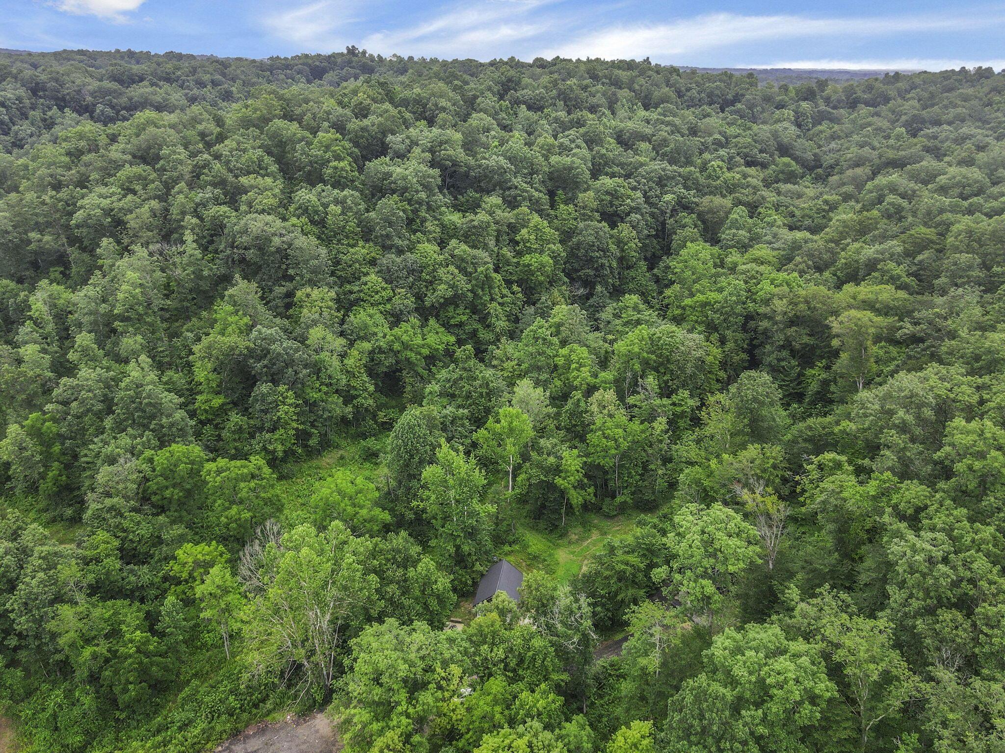 0 Greens Run Road Glouster, OH 45732 - Photo 68 of 121 68-web-or-mls-DJI_0273