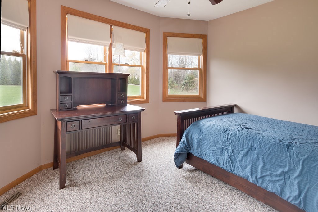 3433 Dayton Road Madison, OH 44057 - Photo 17 of 35 Gallery Image 17