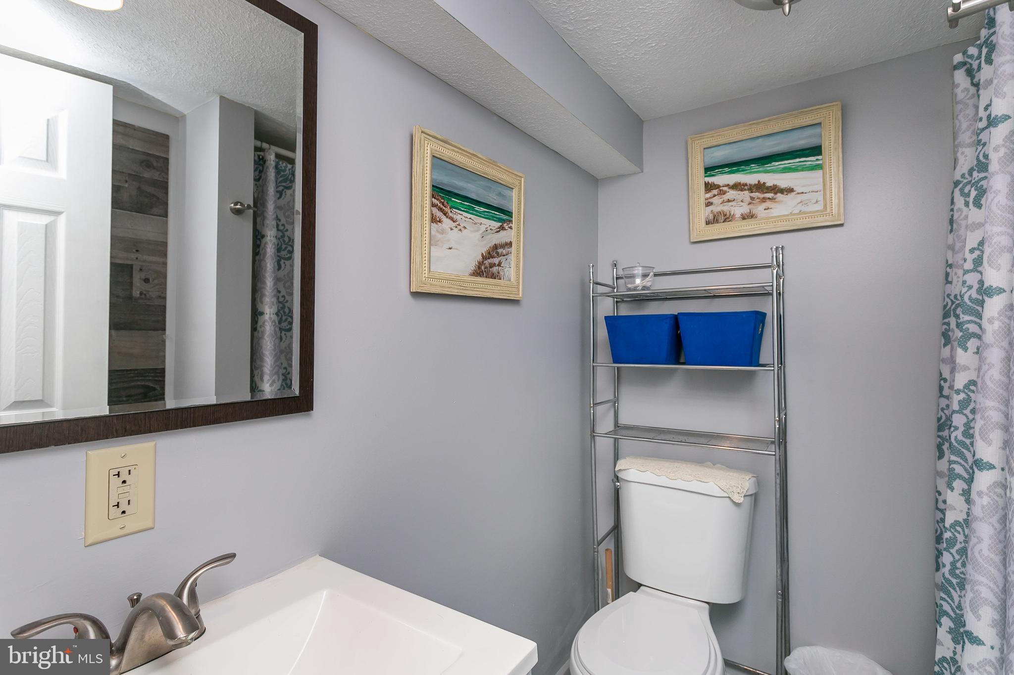 1107 Colora Road Colora, MD 21917 - Photo 13 of 44 Lower level full bath