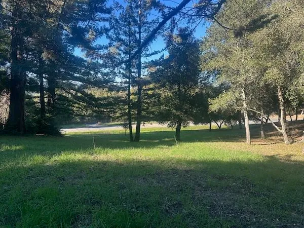 a view of a backyard with green space