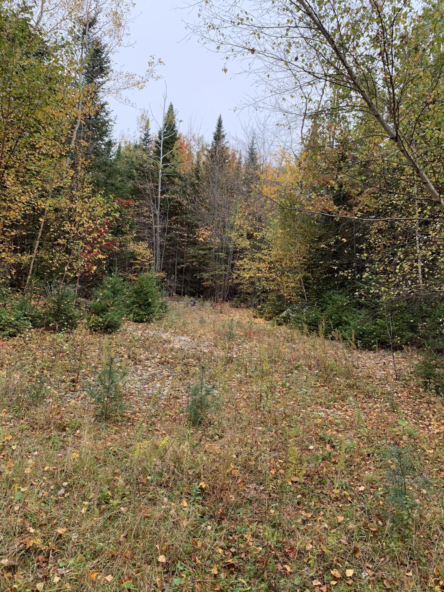 0 Berry Pit Road Hudson, ME 04449 - Photo 5 of 27 CF1E64B3-2810-416A-910F-773C5BA7A952