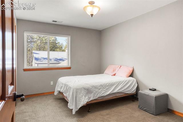 10115 Shoup Road Colorado Springs, CO 80908 - Photo 8 of 11 View of carpeted bedroom