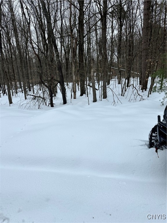 Cotton Road Carthage, NY 13619 - Photo 13 of 22