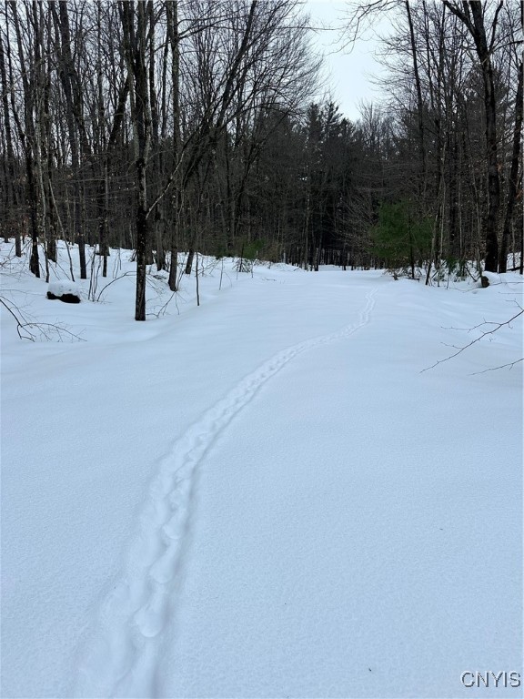 Cotton Road Carthage, NY 13619 - Photo 14 of 22