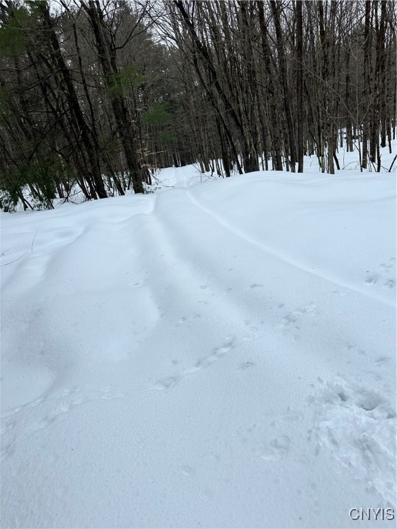 Cotton Road Carthage, NY 13619 - Photo 15 of 22