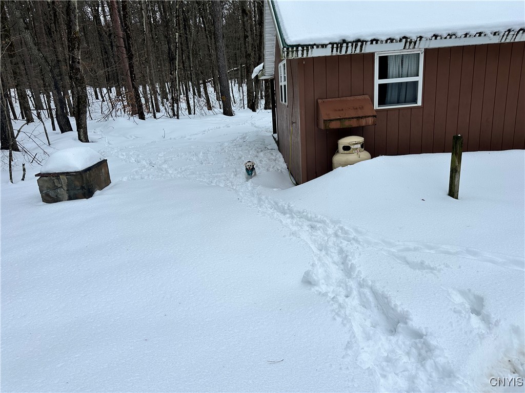 Cotton Road Carthage, NY 13619 - Photo 20 of 22