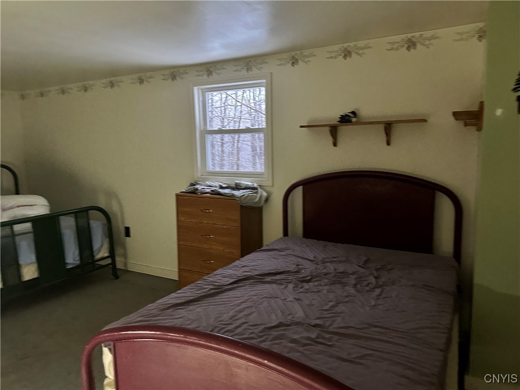 Cotton Road Carthage, NY 13619 - Photo 4 of 22