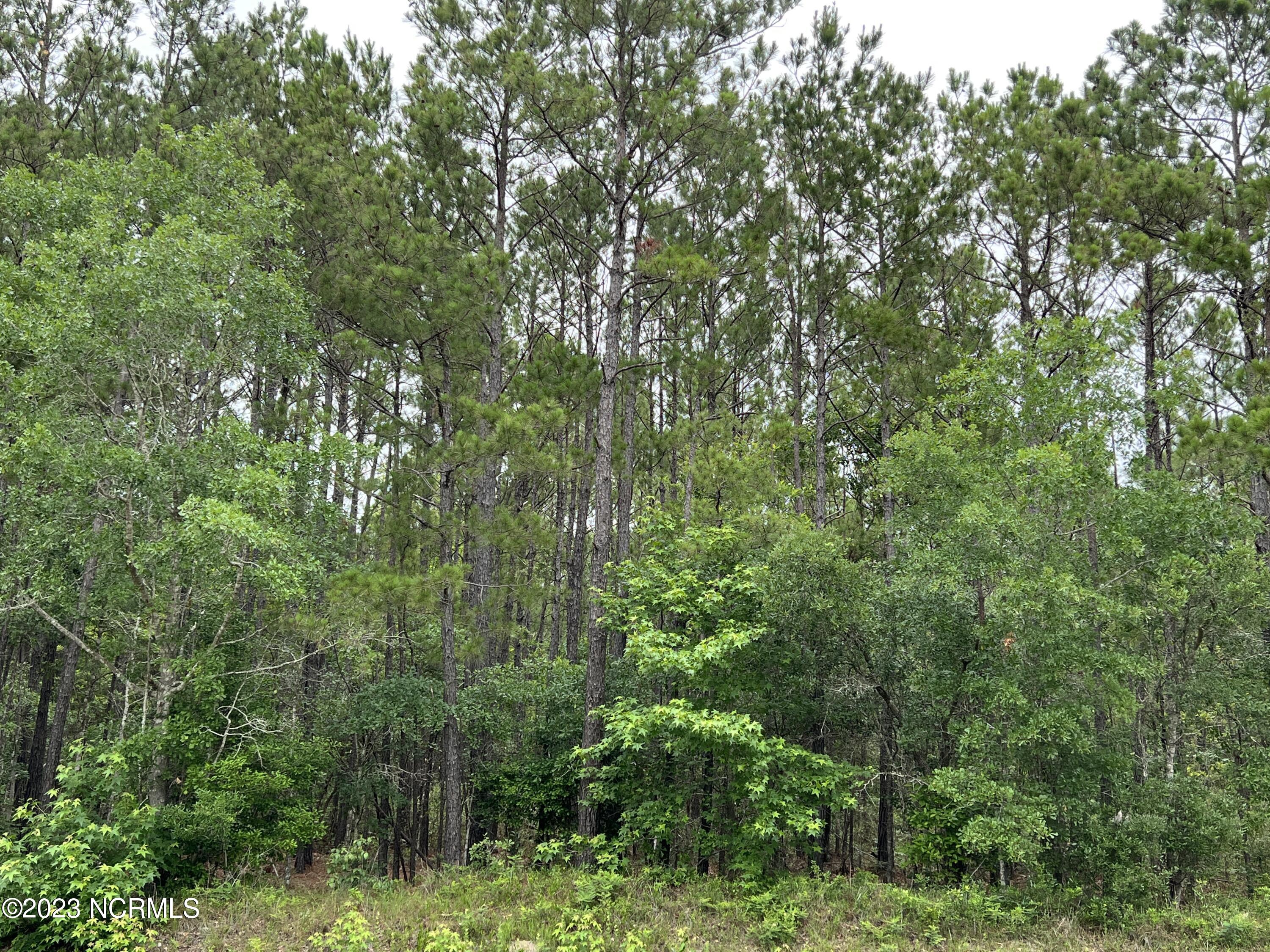 B Cumbee Road Southwest Supply, NC 28462 - Photo 1 of 5 IMG_6079 (002)