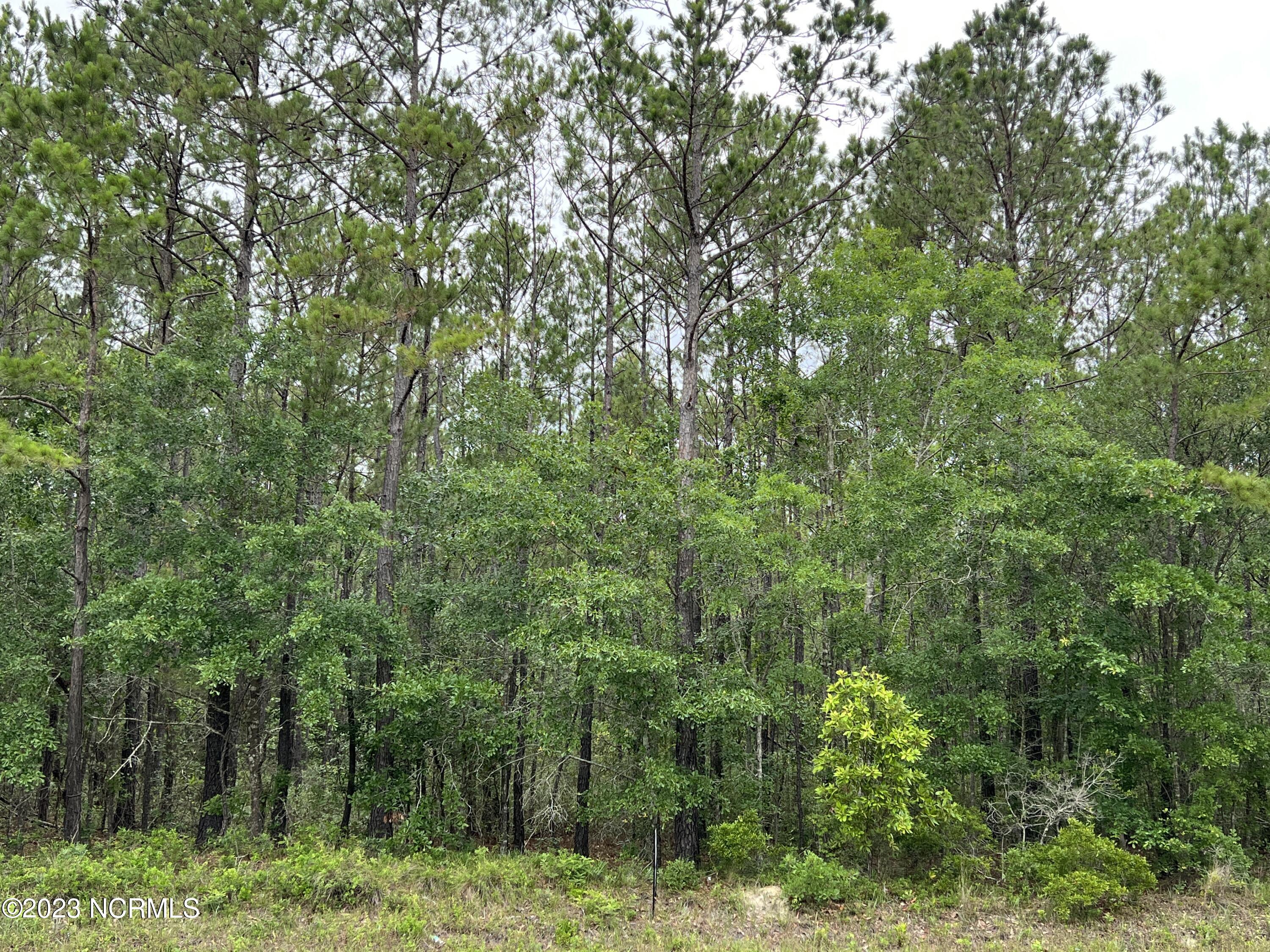 B Cumbee Road Southwest Supply, NC 28462 - Photo 3 of 5 IMG_6080 (002)