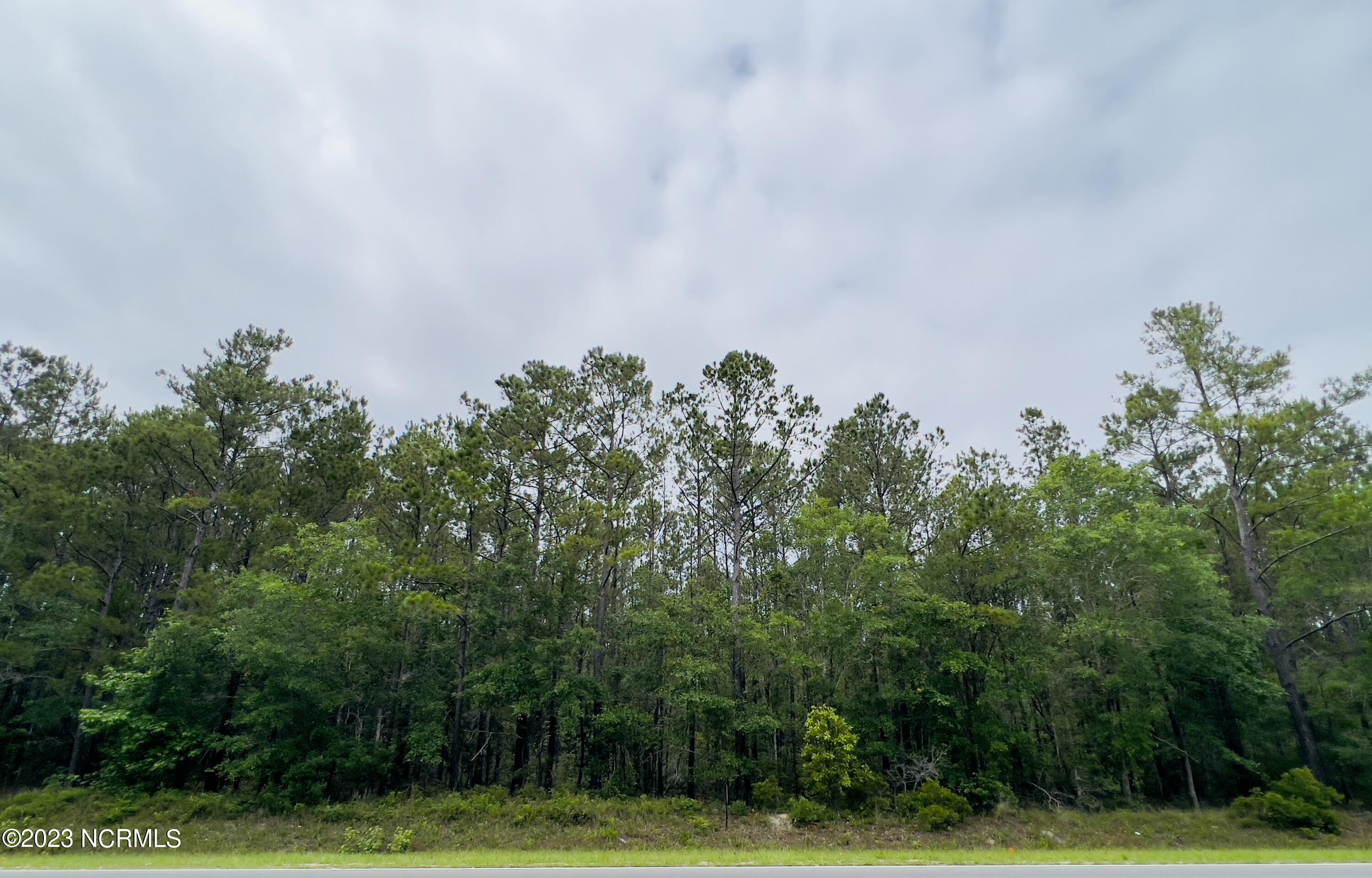 B Cumbee Road Southwest Supply, NC 28462 - Photo 4 of 5 IMG_6081 (002)