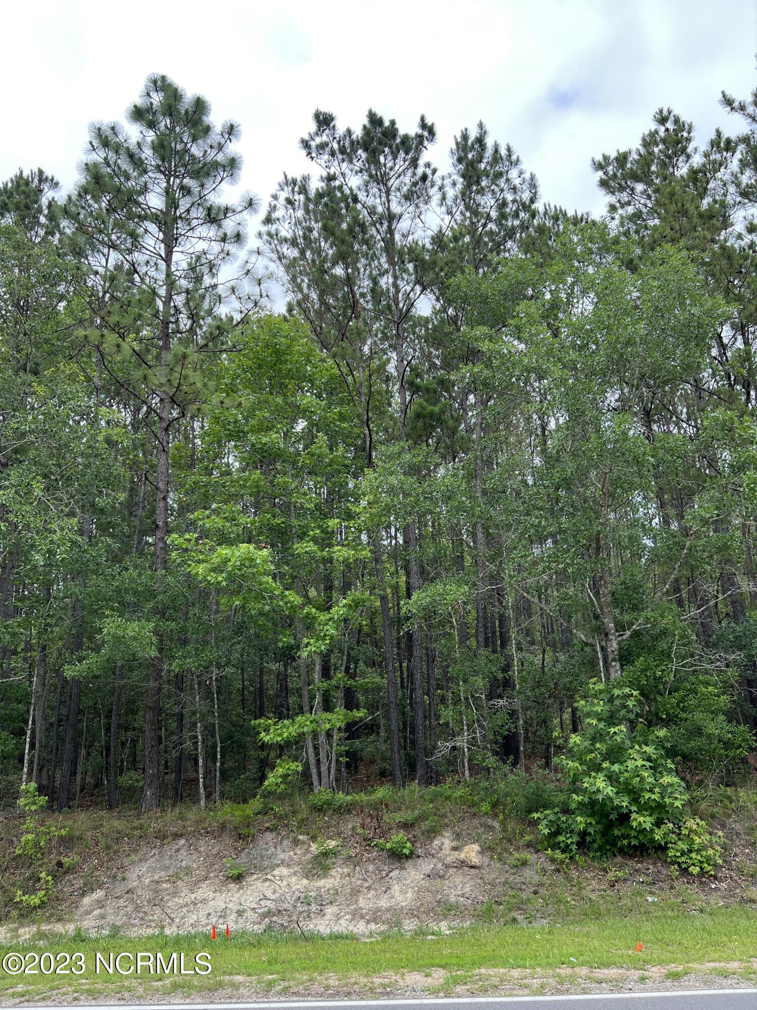 B Cumbee Road Southwest Supply, NC 28462 - Photo 5 of 5 IMG_6082 (002)
