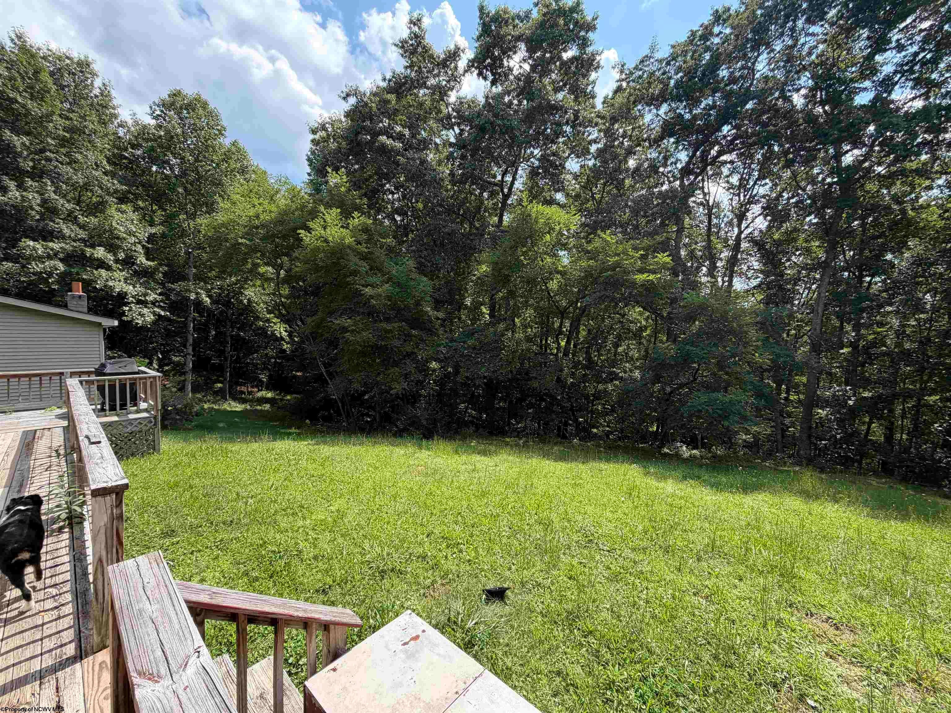 1685 Riffle Creek Road Huttonsville, WV 26273 - Photo 12 of 22 Gallery Image 12