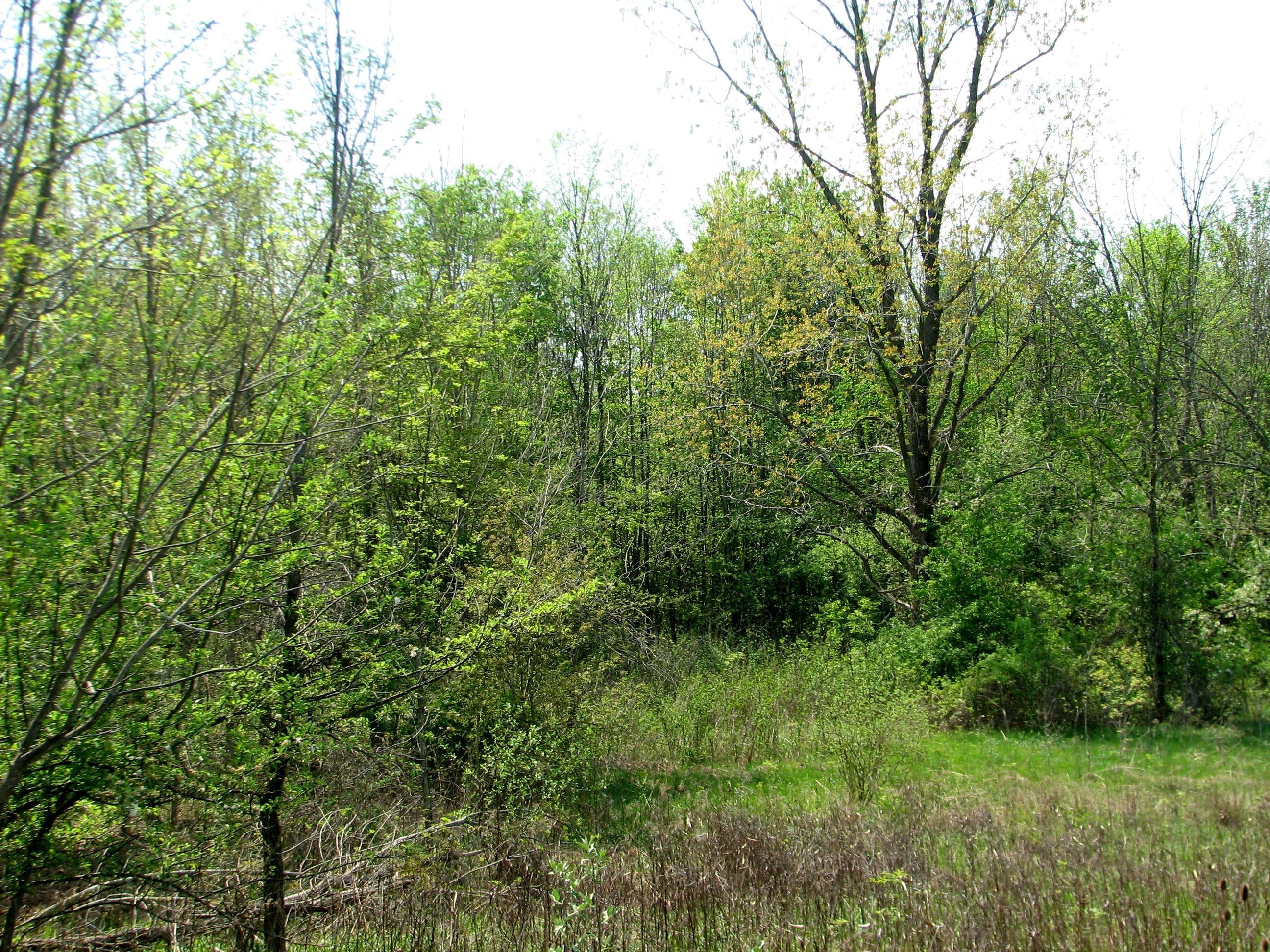 7729 Northridge Road Johnstown, OH 43031 - Photo 1 of 1