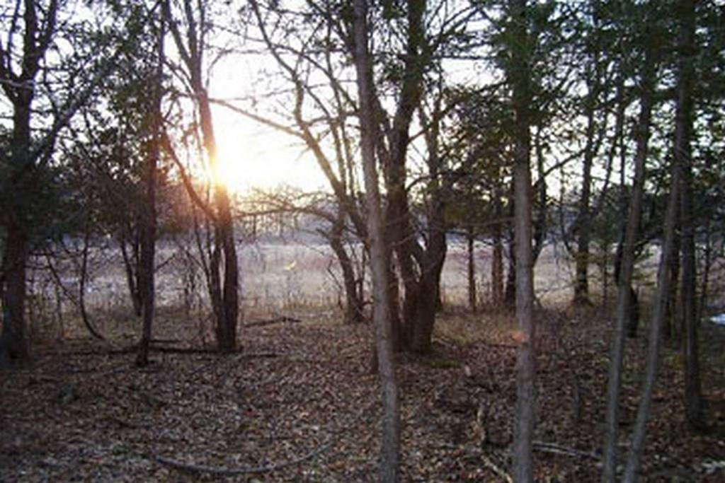 9 Anderson Farm Road Corinth, ME 04427 - Photo 15 of 18 Photo
