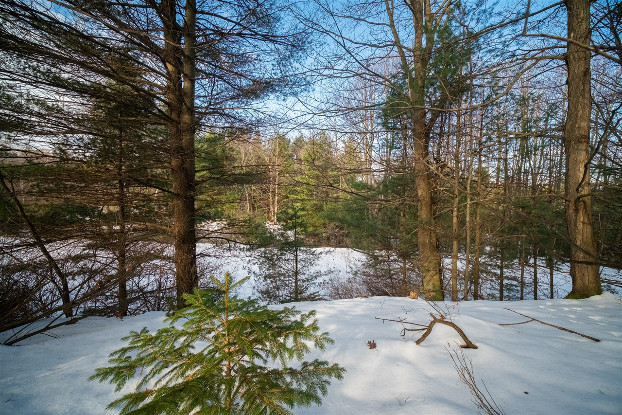 0 Erdman Road Onekama, MI 49675 - Photo 41 of 69 Gallery Image 41