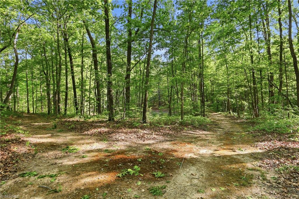 309 Tom Caudle Road Lexington, NC 27295 - Photo 34 of 43