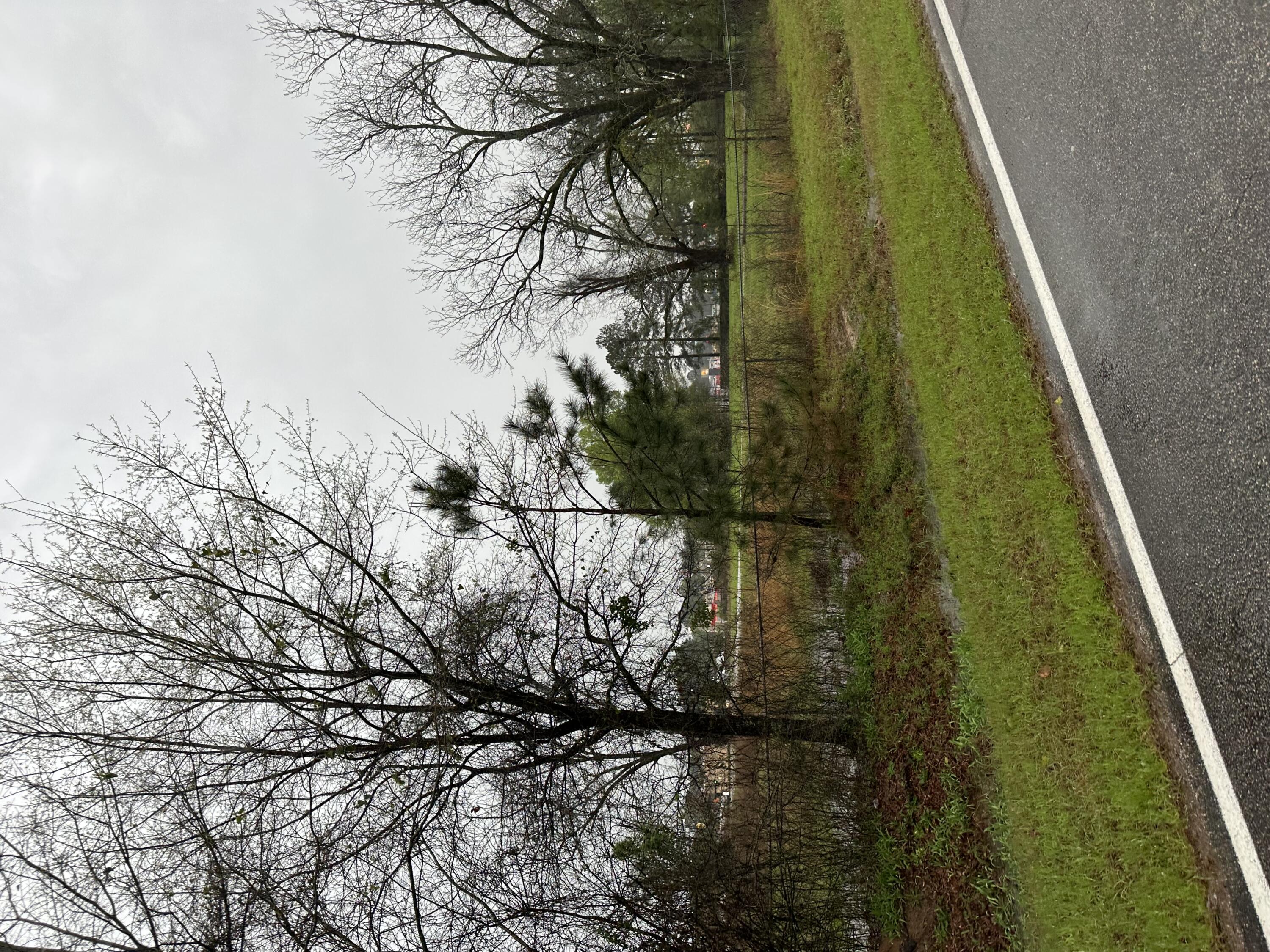 Level Land for Development