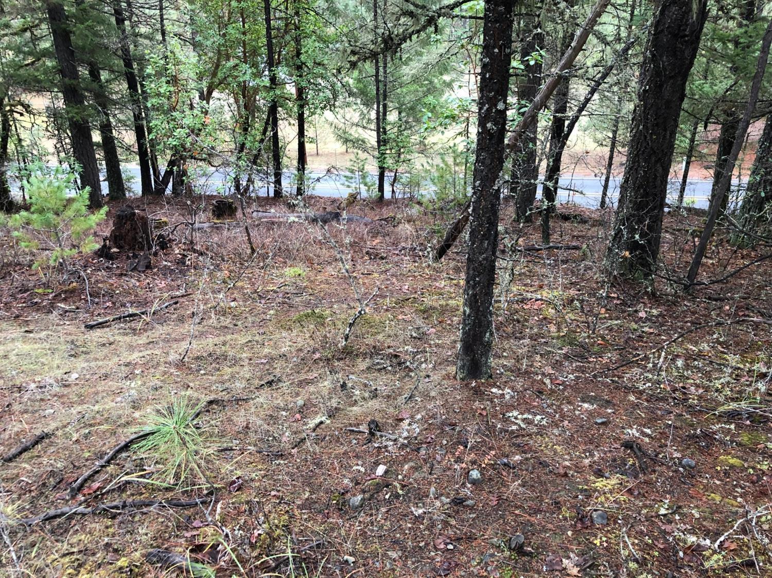 6897 West Evans Creek Road Rogue River, OR 97537 - Photo 6 of 6 Additional Photo