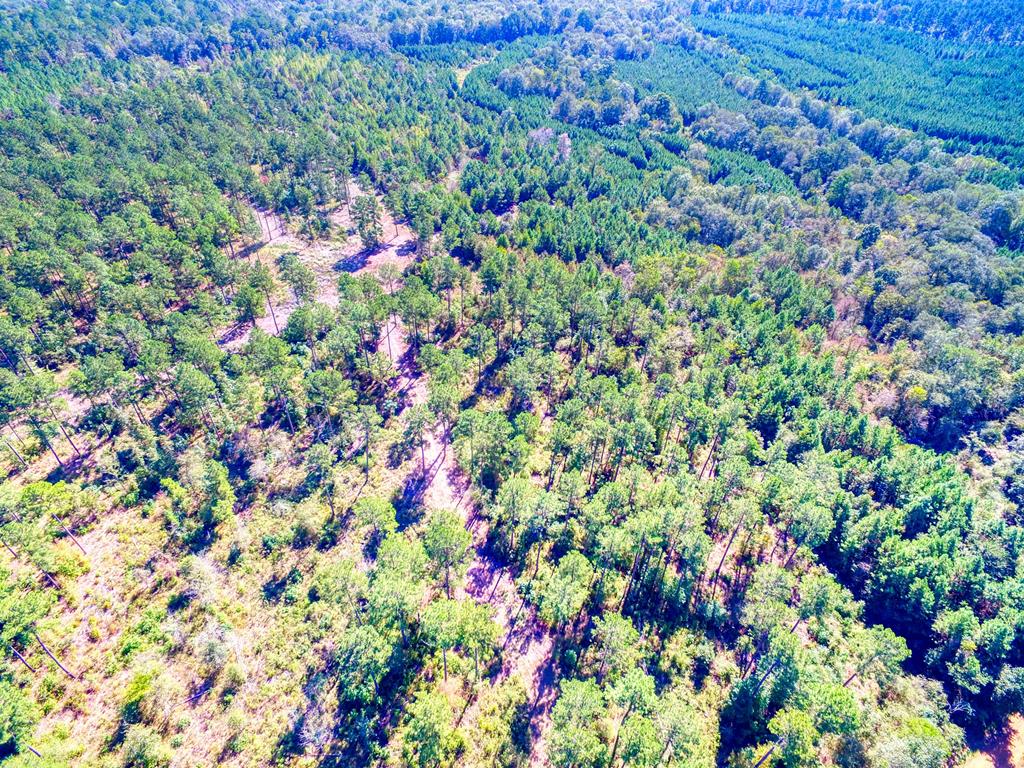 0 An County Road Palestine, TX 75801 - Photo 4 of 18