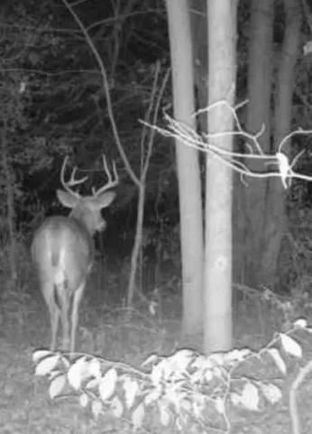 $273,900 | 7100 South 225 West Street, Madison, IN 47250