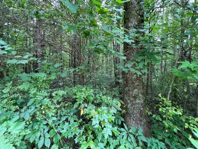 $273,900 | 7100 South 225 West Street, Madison, IN 47250