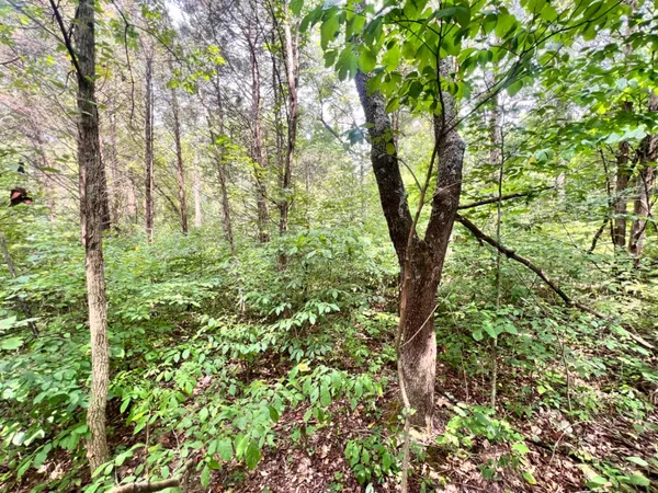 $273,900 | 7100 South 225 West Street, Madison, IN 47250