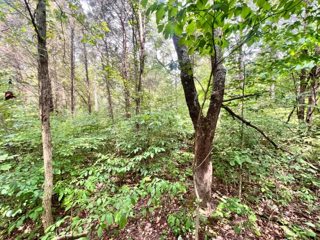 $273,900 | 7100 South 225 West Street, Madison, IN 47250