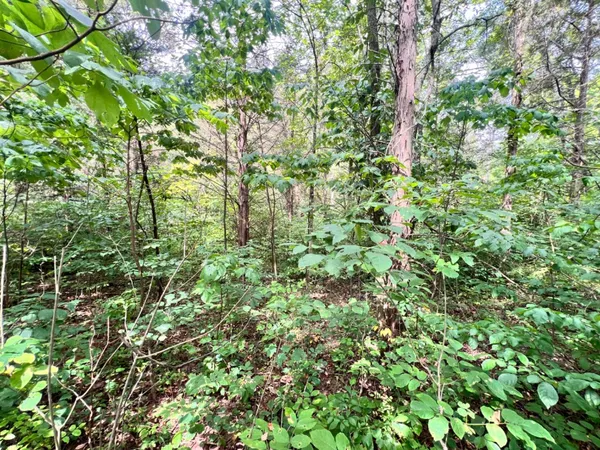 $273,900 | 7100 South 225 West Street, Madison, IN 47250