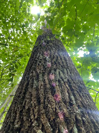 $273,900 | 7100 South 225 West Street, Madison, IN 47250