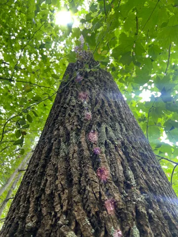 $273,900 | 7100 South 225 West Street, Madison, IN 47250