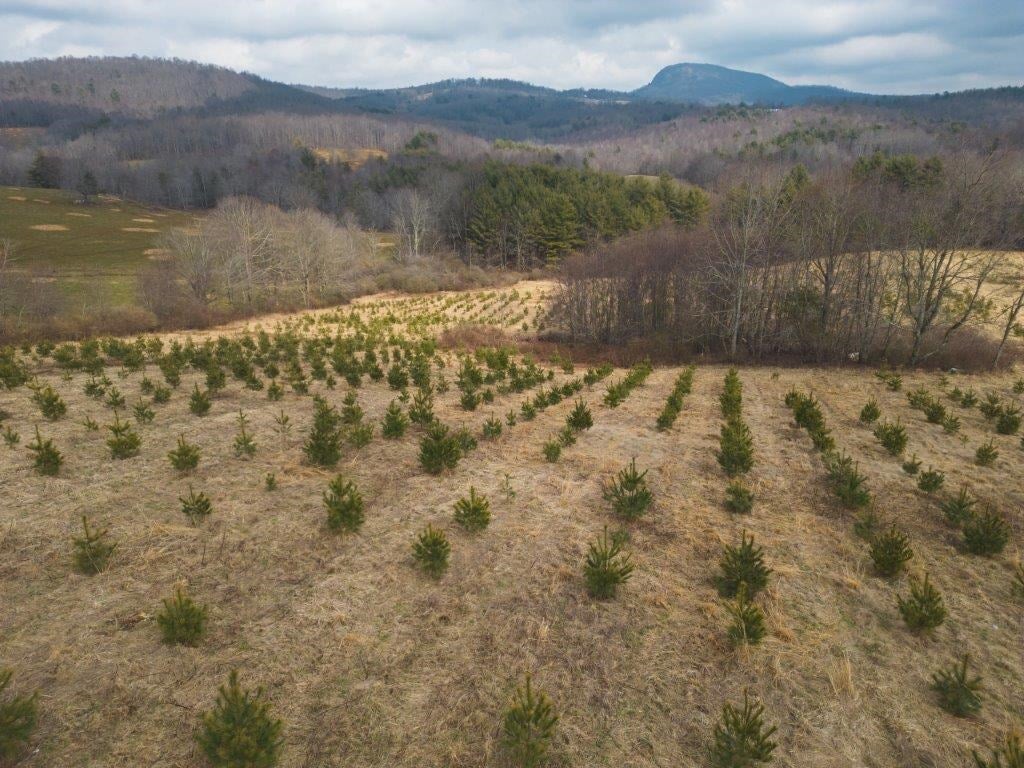 Tbd Long Mountain Road Southwest Willis, VA 24380 - Photo 2 of 66 Gallery Image 2