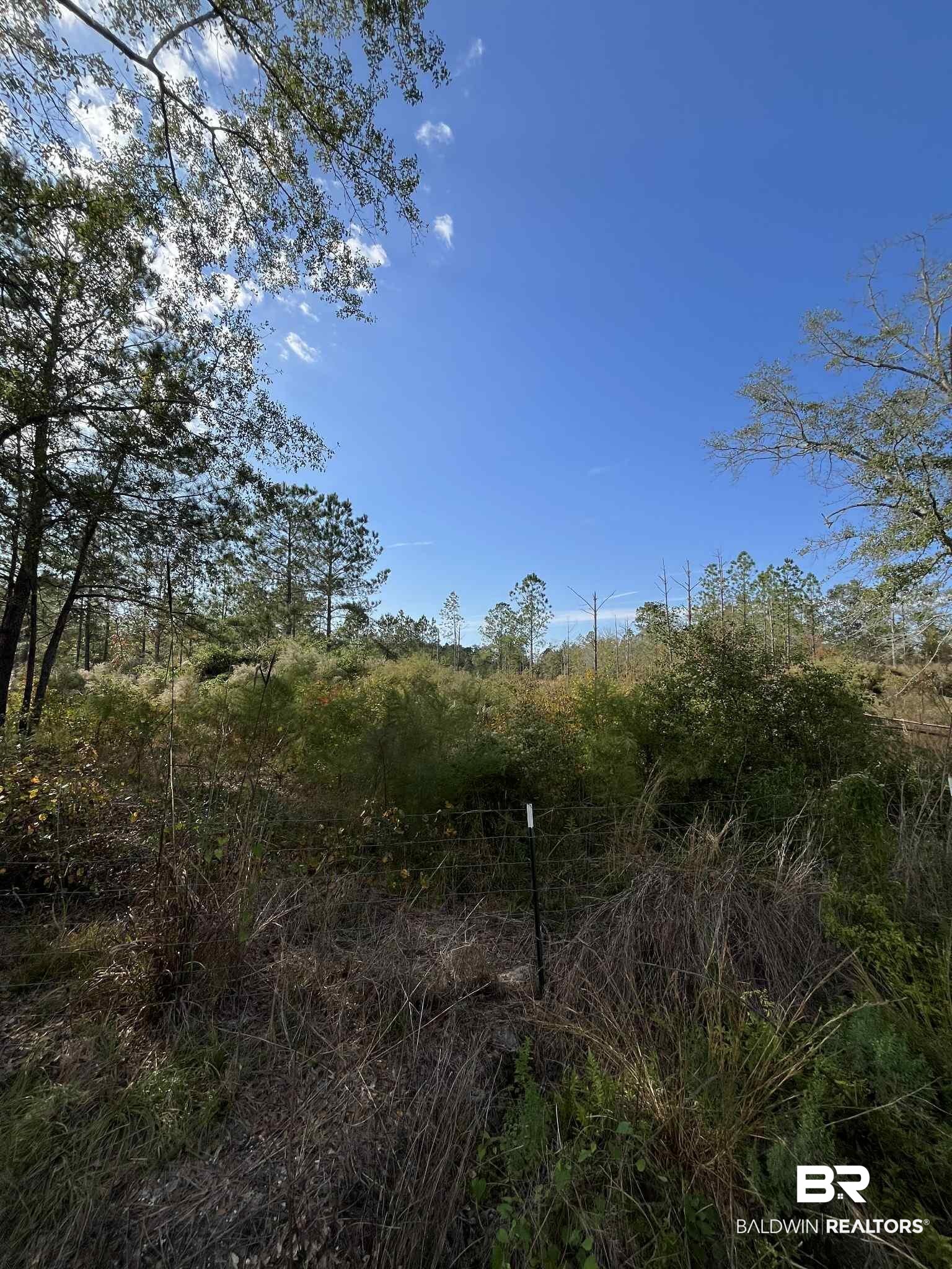 Virginia Drive Atmore, AL 36502 - Photo 6 of 8 View of nature