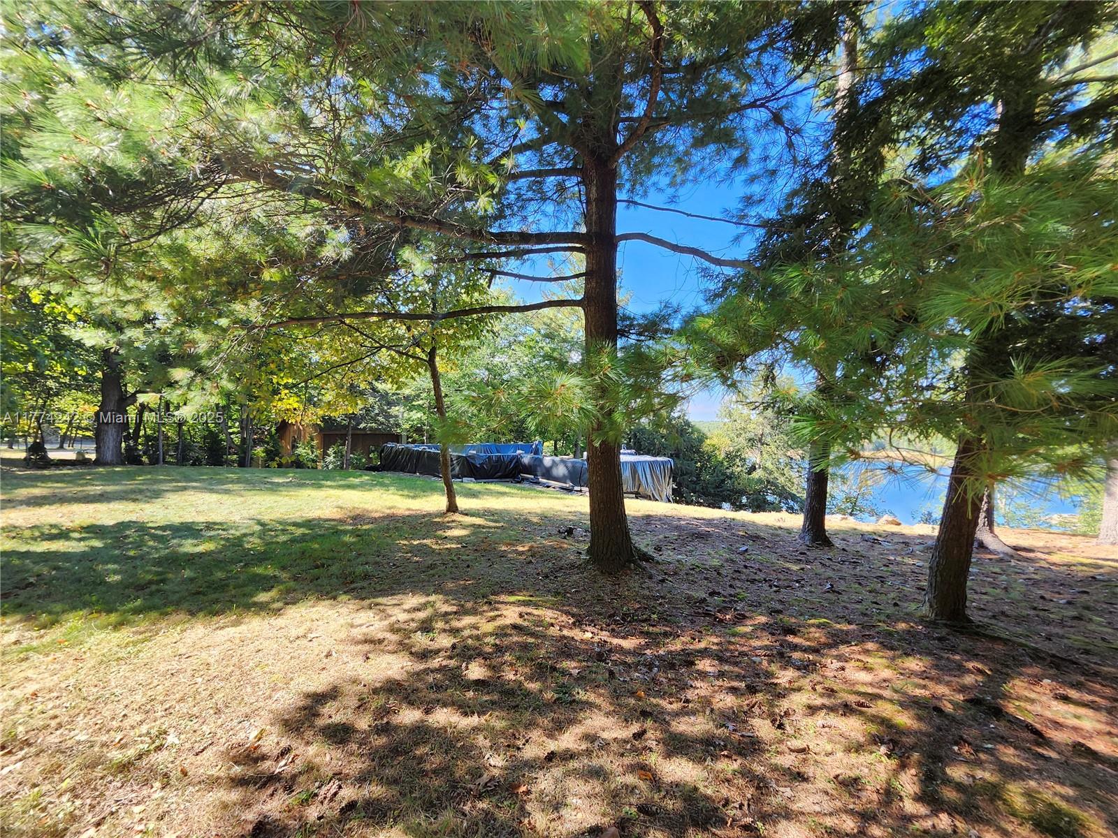 18443 Otter Point Road Wellesley Island, NY 13640 - Photo 11 of 26 Purchase the adjacent lot with the foundation, well, and septic in place to go along with this stunning natural beauty. Live on one and enjoy the expansive space the other would add.