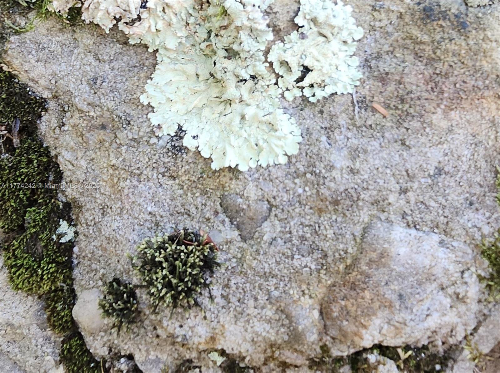 18443 Otter Point Road Wellesley Island, NY 13640 - Photo 17 of 26 Your heart belongs here just like the heart in the rock. Now that says it all!