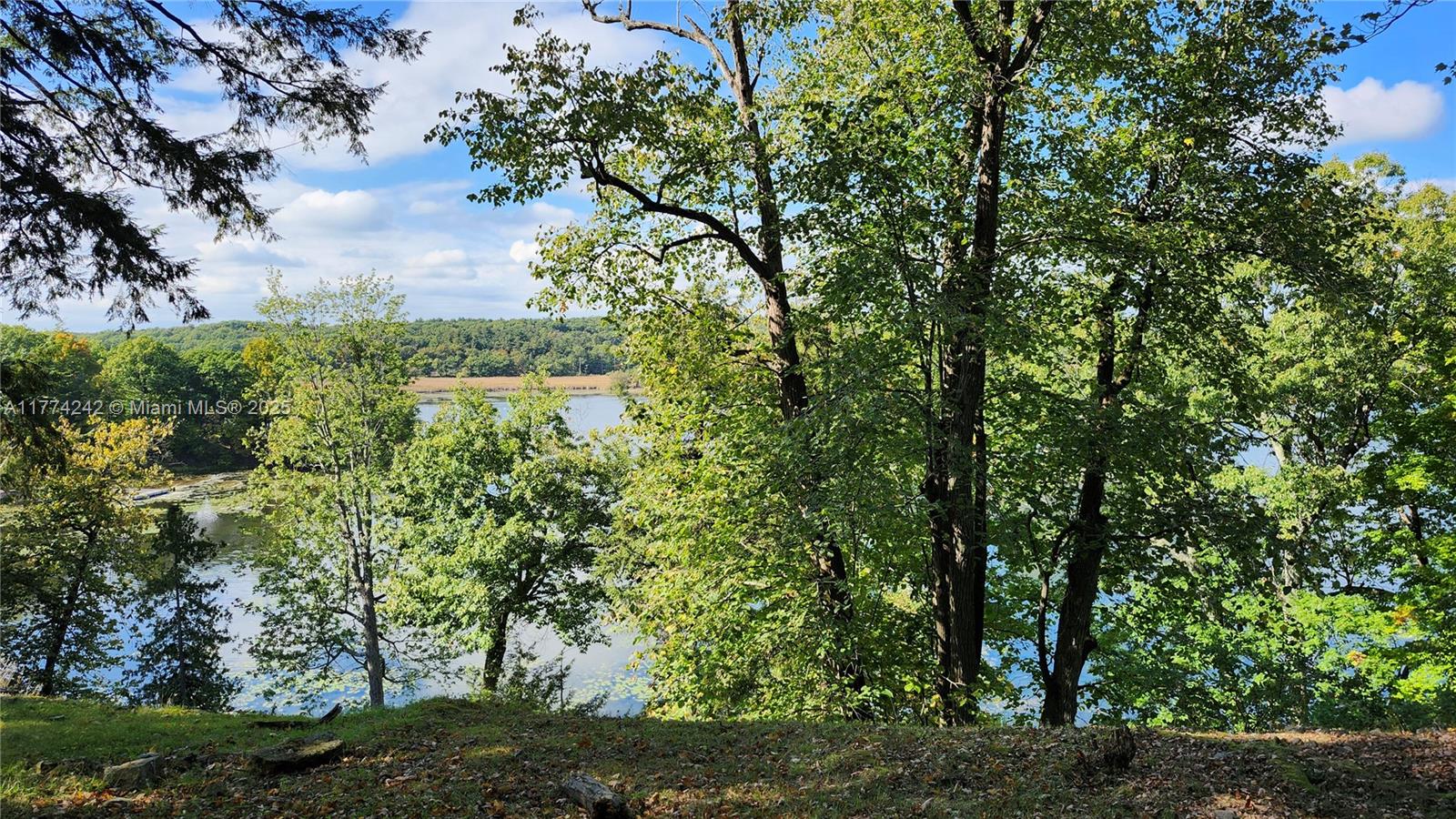 18443 Otter Point Road Wellesley Island, NY 13640 - Photo 21 of 26 Such a gorgeous view from your backyard.