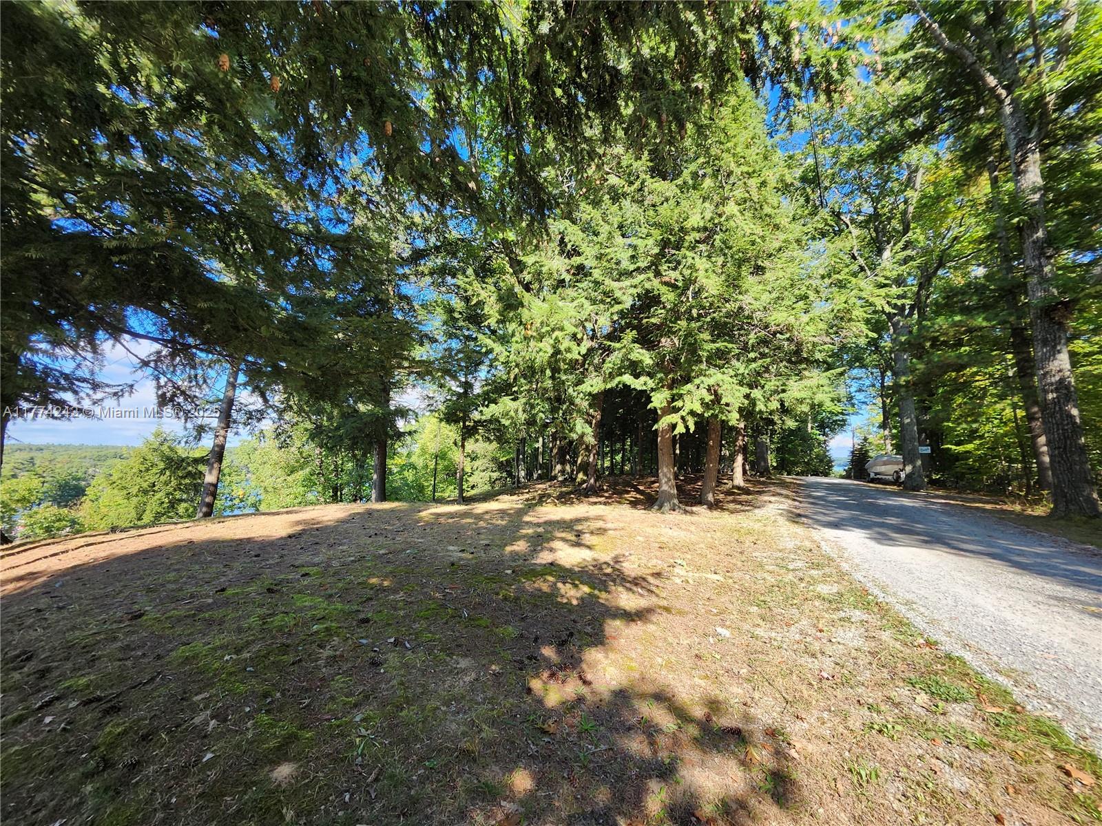 18443 Otter Point Road Wellesley Island, NY 13640 - Photo 4 of 26 This lot sits on the peaceful Otter Point Road and Lake of the Isles.