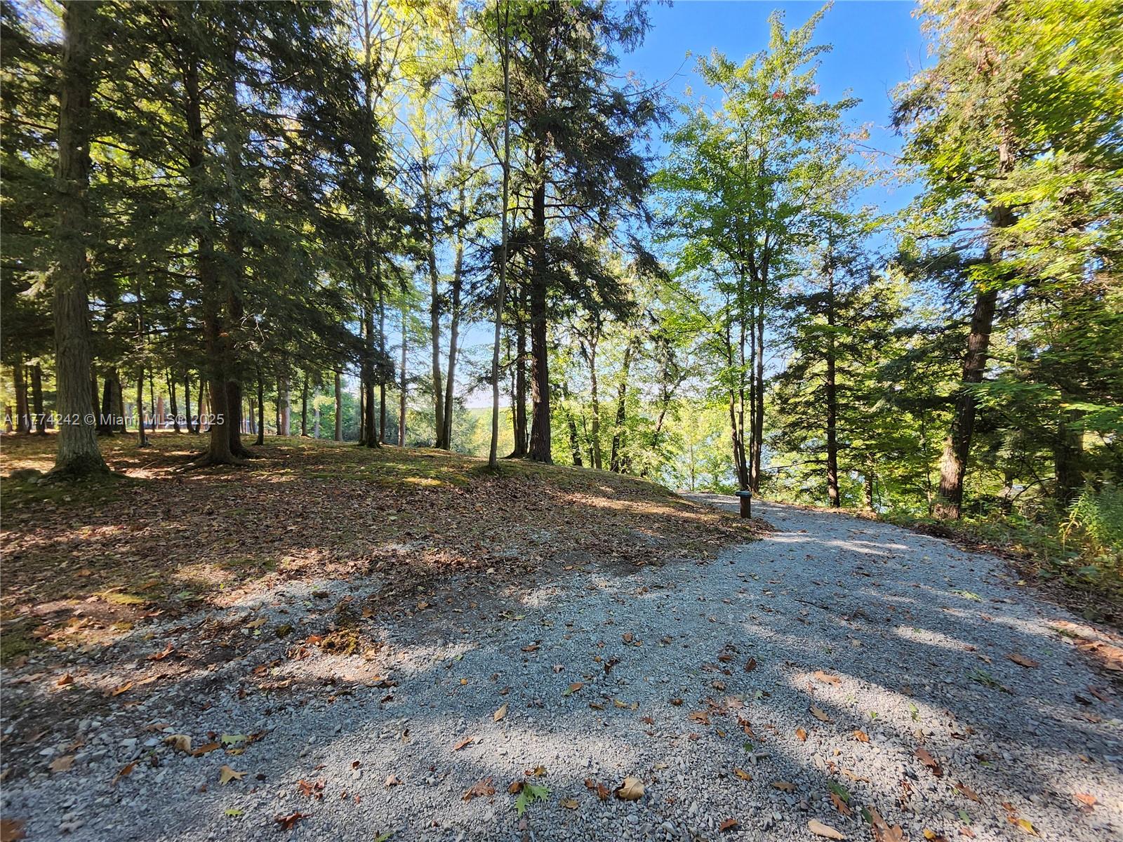 18443 Otter Point Road Wellesley Island, NY 13640 - Photo 6 of 26 Your own ATV path excavated down to the lake.