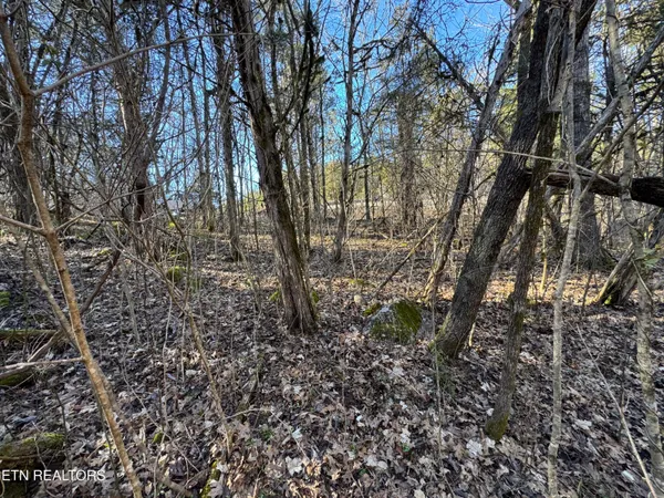$250,000 | Tn-131, Thorn Hill, TN 37881