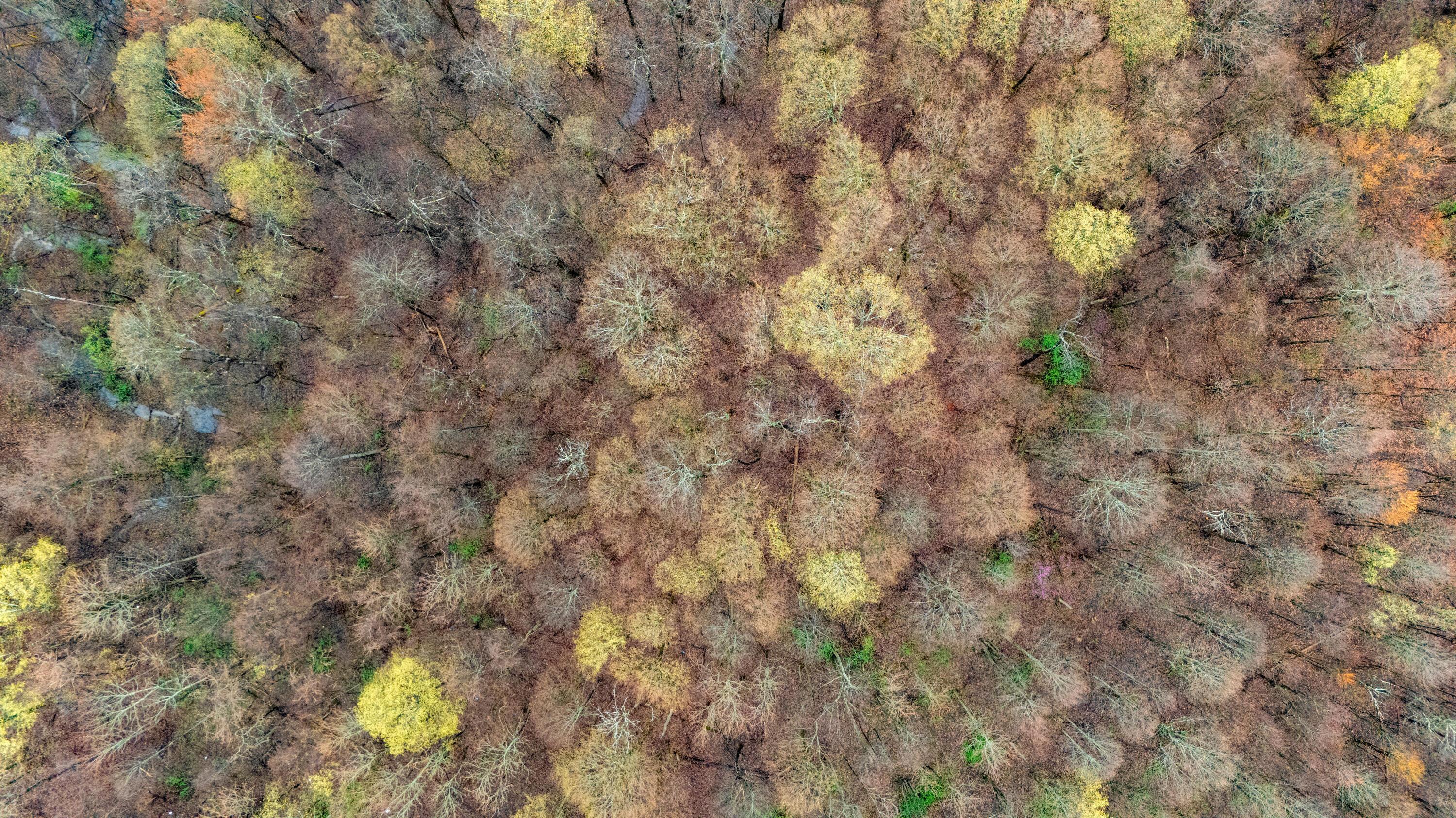 1630 Pascal Road Malta, OH 43758 - Photo 5 of 22 Drone Top Down 3