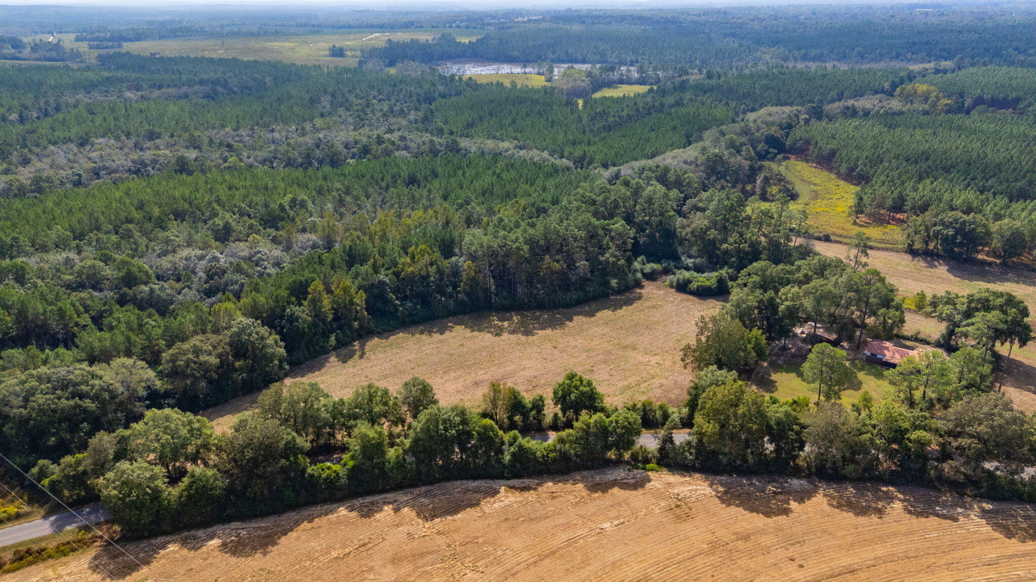 5.65-acre Prescott Road Florala, AL 36442 - Photo 2 of 36 57-web-or-mls-1950-prescott-rd - Copy