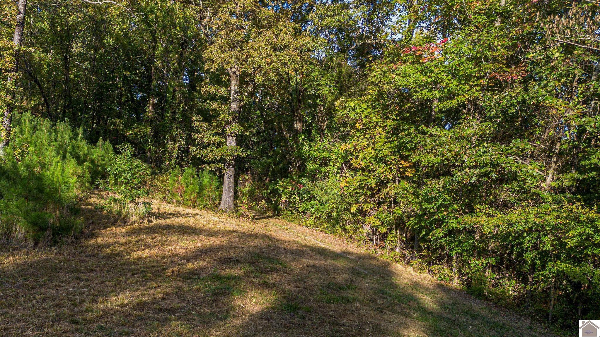 1660 Chappell Road Paducah, KY 42003 - Photo 25 of 28 Photo 25