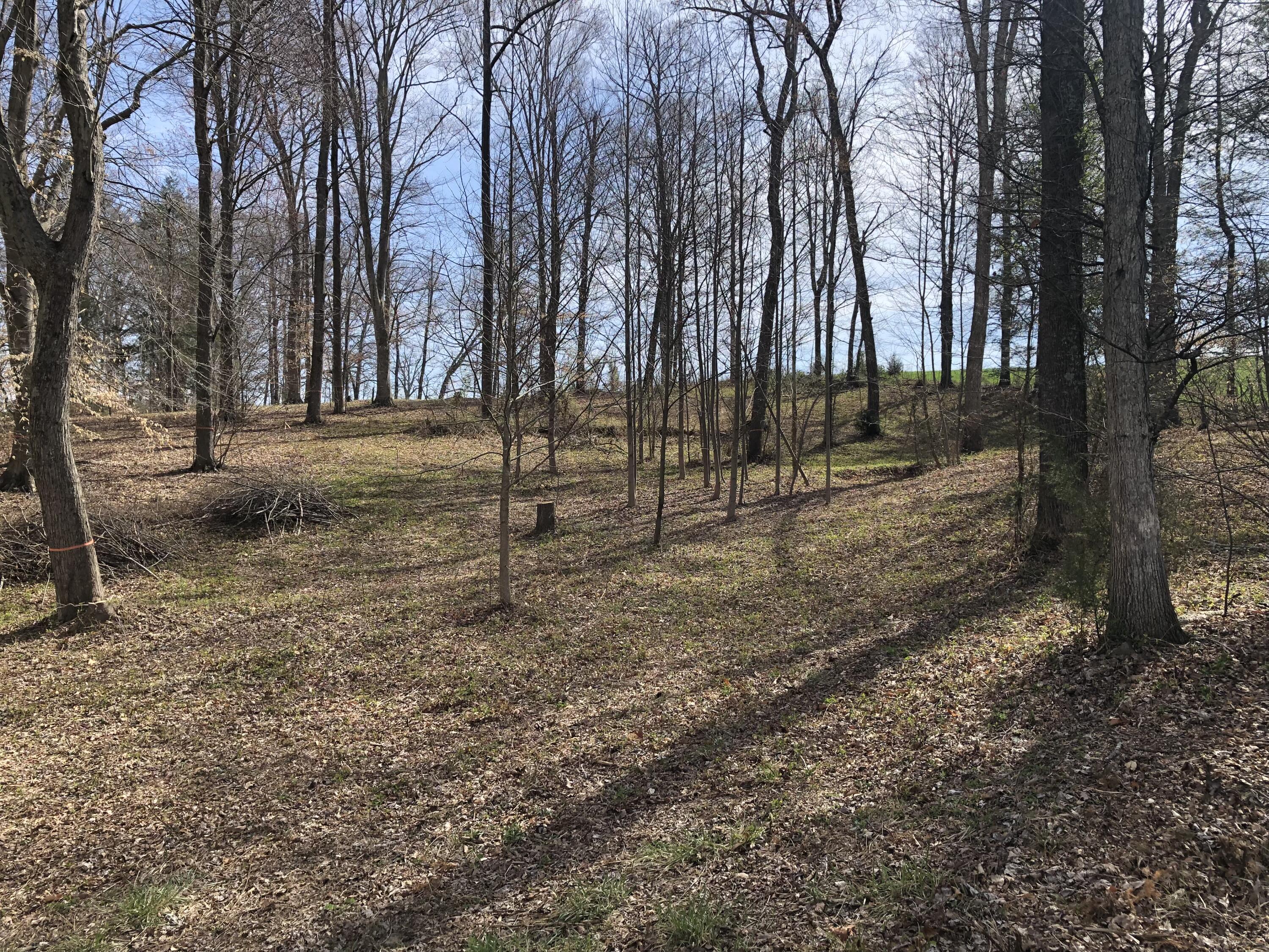 190 Treadway Road, Unit 1 Chuckey, TN 37641 - Photo 1 of 3 IMG-3295
