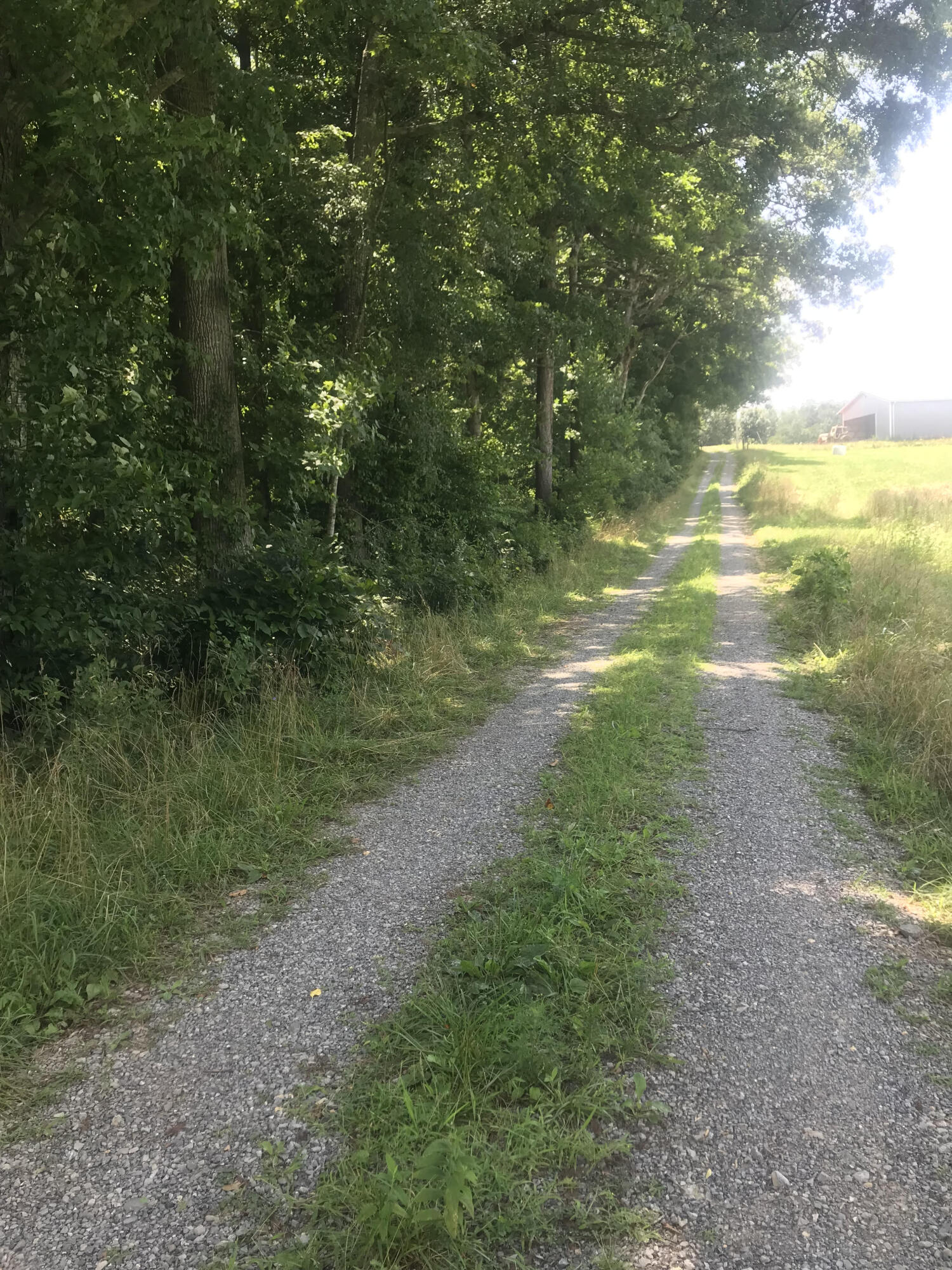 190 Treadway Road, Unit 1 Chuckey, TN 37641 - Photo 2 of 3 unnamed (2)