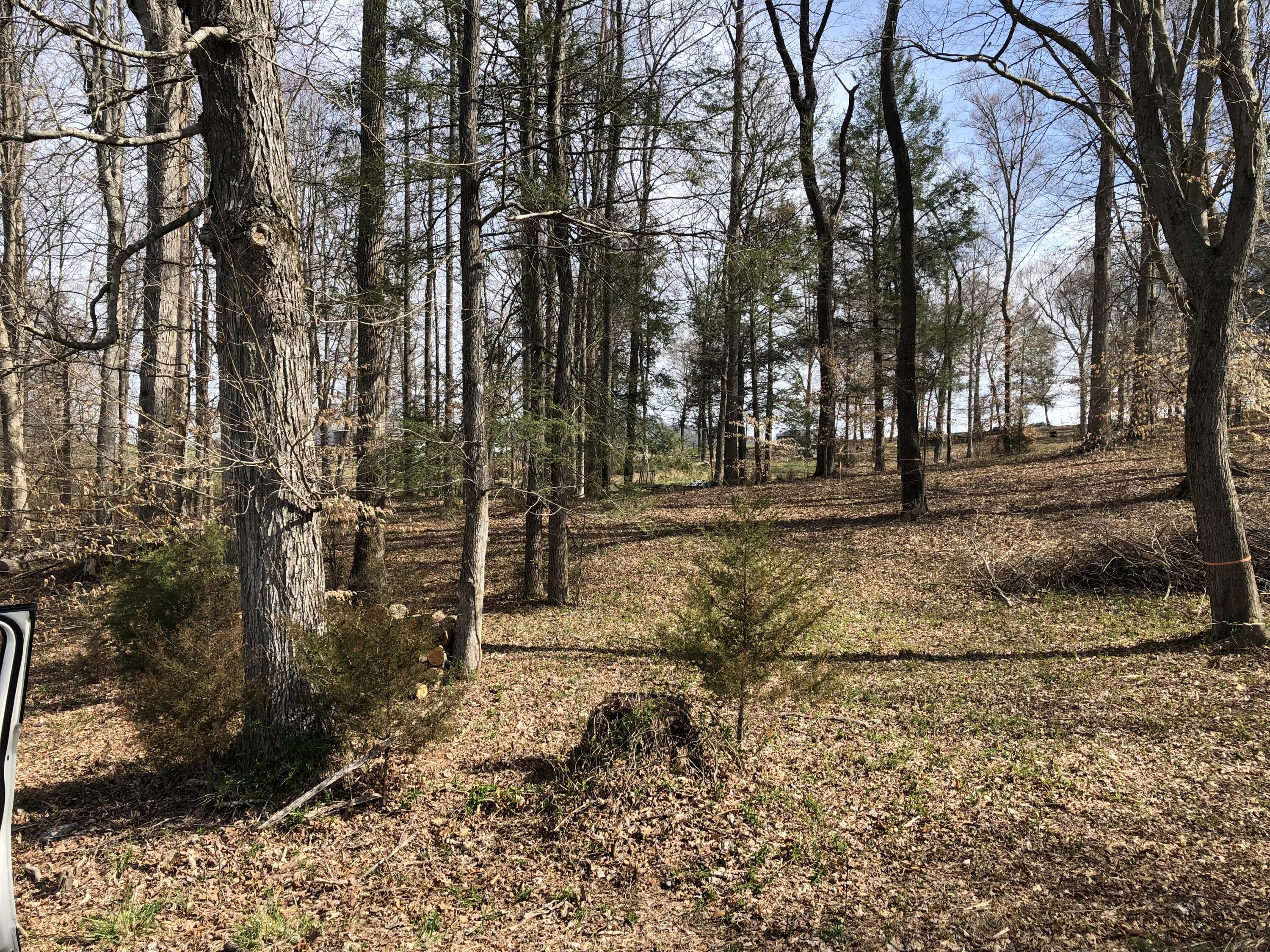 190 Treadway Road, Unit 1 Chuckey, TN 37641 - Photo 3 of 3 IMG-3296