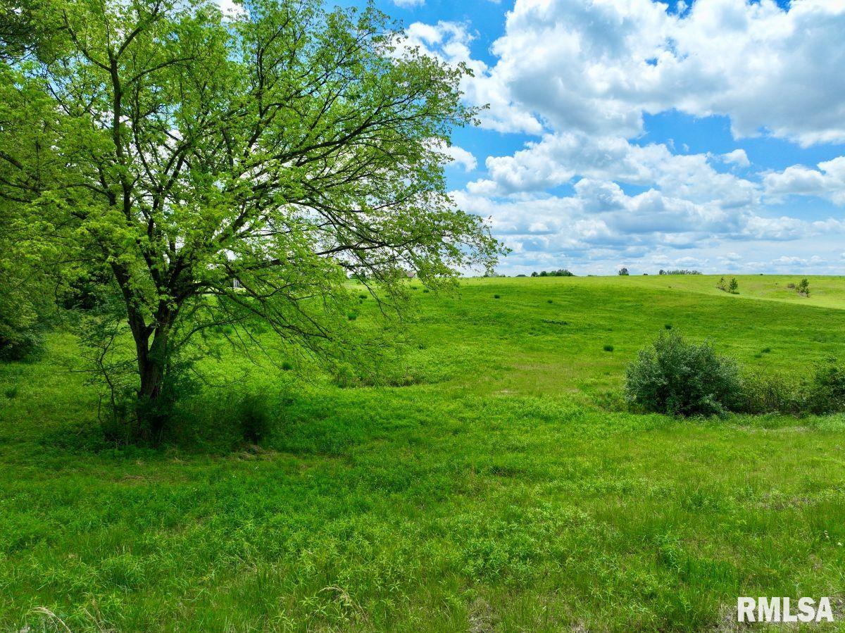0 Campground Road Anna, IL 62906 - Photo 5 of 29