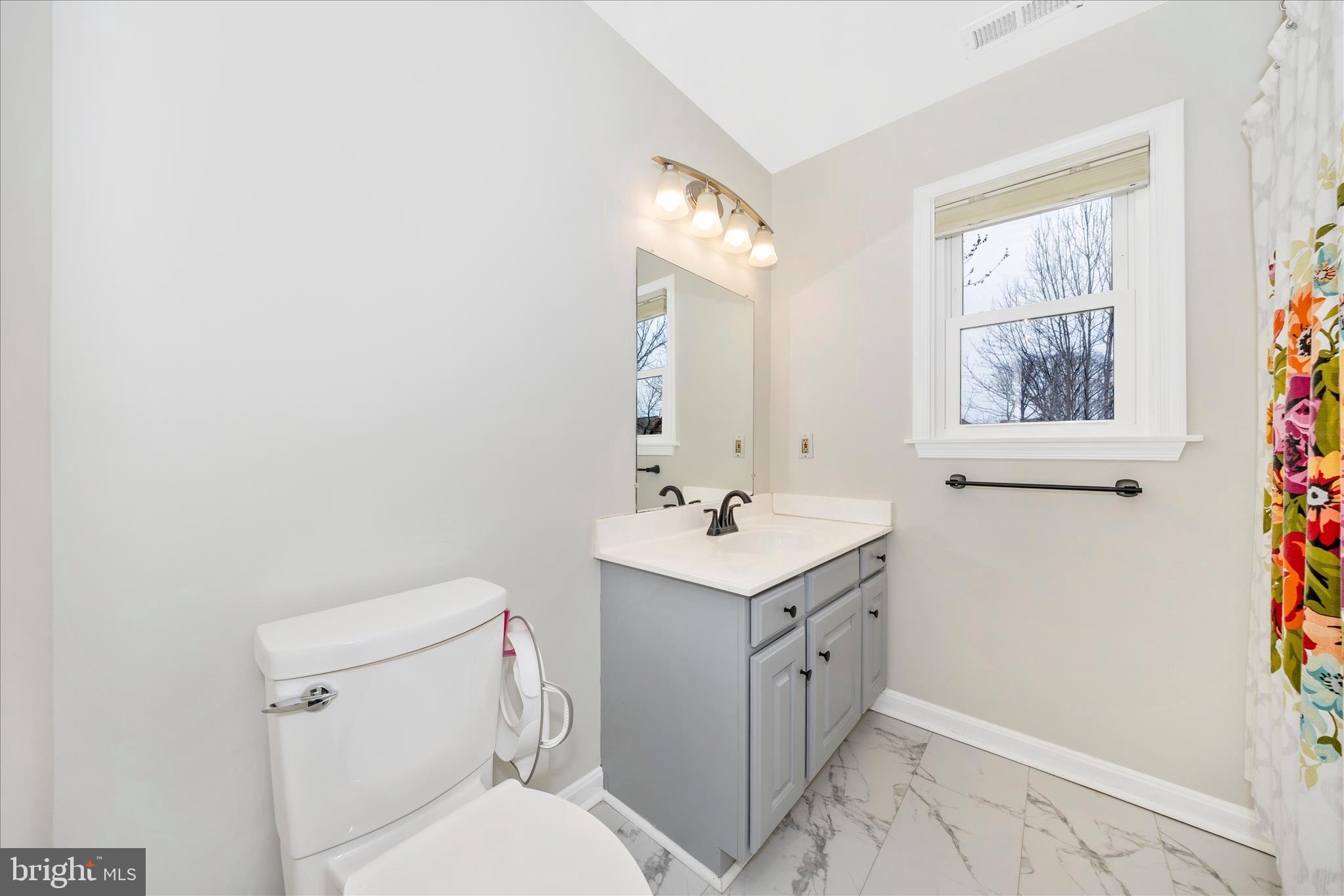 6634 Rockridge Road New Market, MD 21774 - Photo 29 of 74 Hall Bathroom