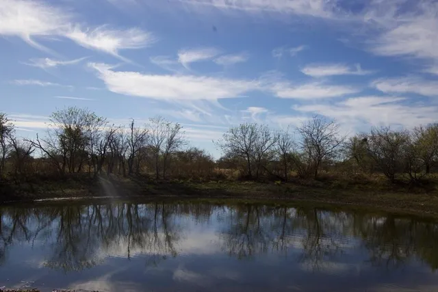 a backyard of a house with lots of trees