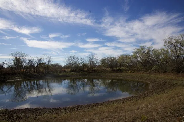 a view of a dry yard with trees